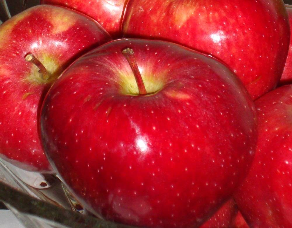 Запеченные яблока для кормящей мамы, польза, рецепт