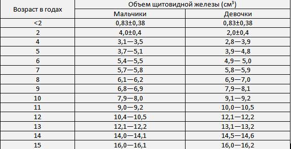 Размеры щитовидки у женщин