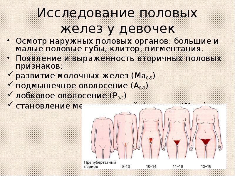 Нарушения полового созревания - причины, симптомы, диагностика и лечение в москве | медицинский центр «президент-мед»