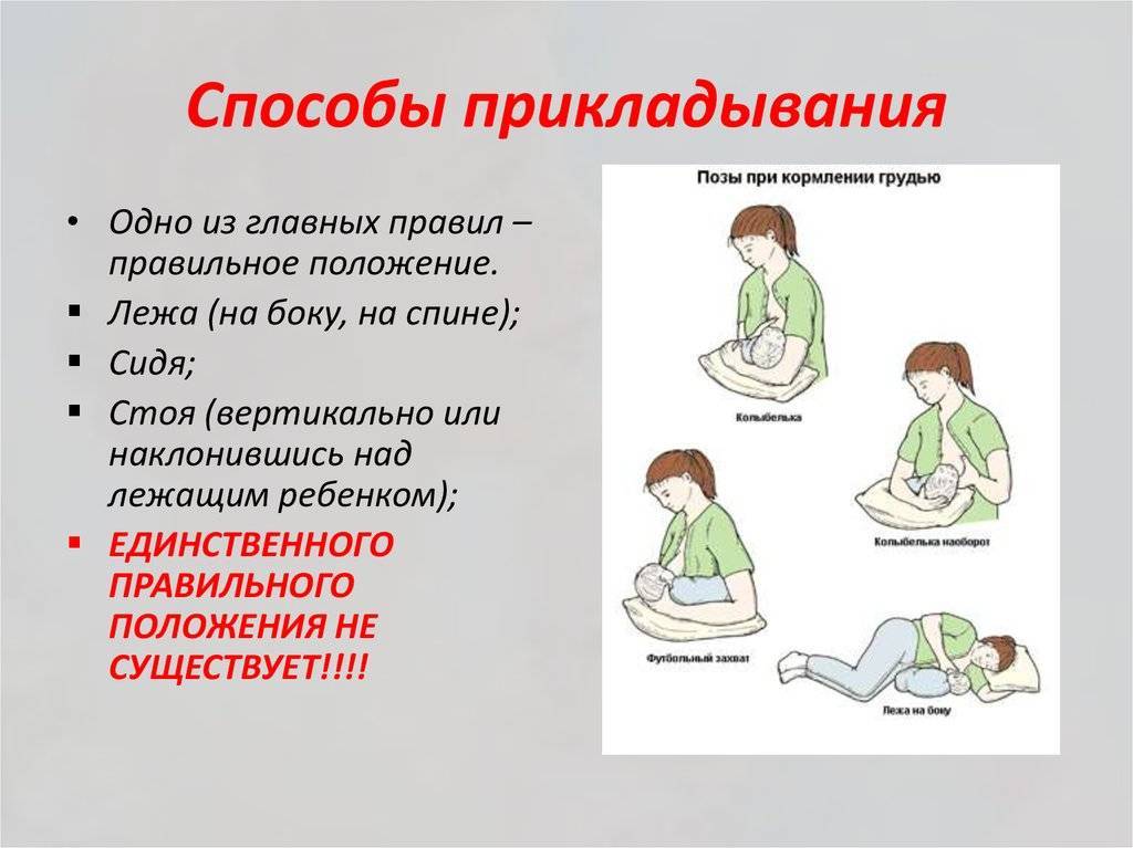 Позы для грудного вскармливания: как приложить ребенка к груди