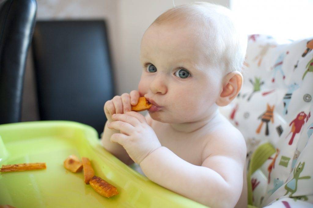 Как научить ребенка жевать: учим малыша жевать твердую пищу