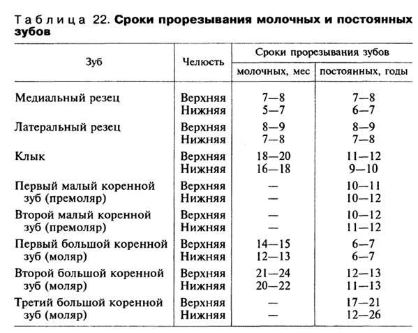 Нумерация зубов в стоматологии. сегменты челюсти.