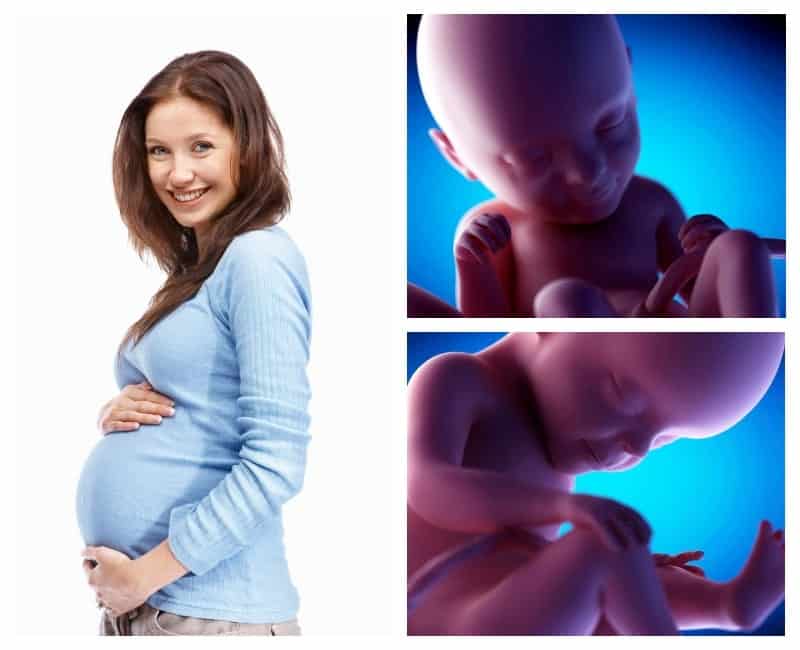 26 неделя беременности: польза отдыха и разговоров с малышом