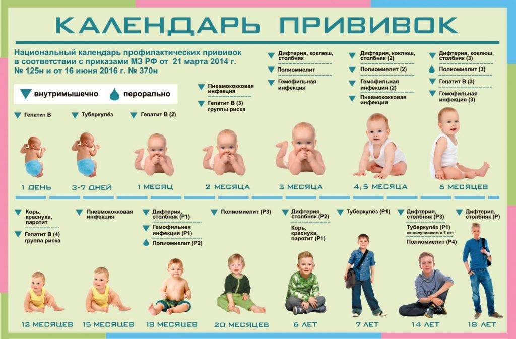 Опасная прививка: почему мы боимся акдс - parents.ru