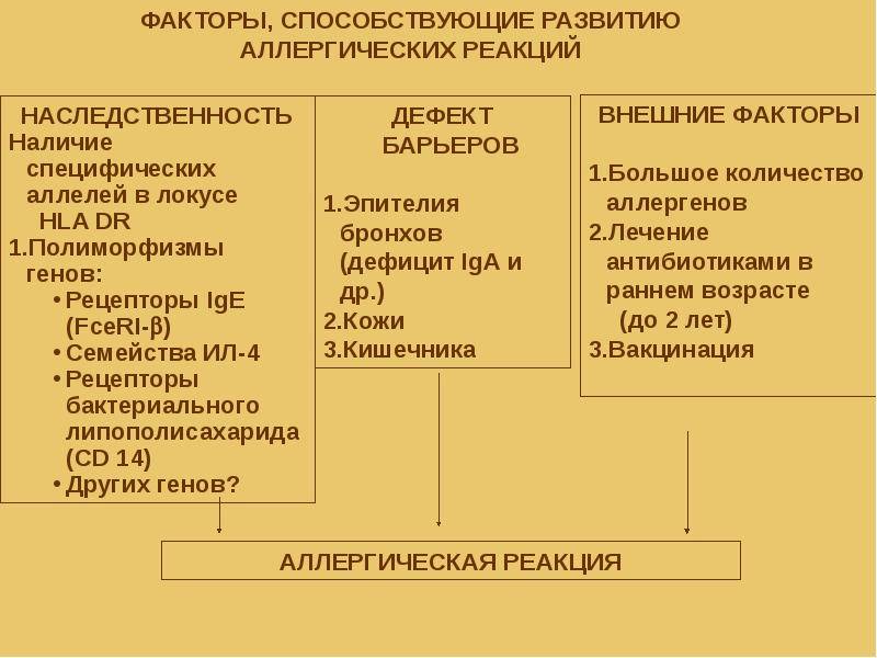 Инфекционная аллергия