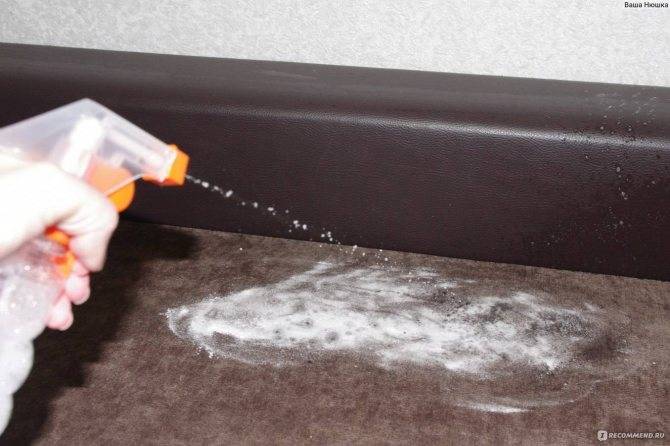 Как отмыть диван от мочи ребенка — priborka