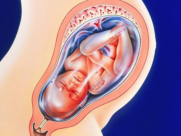 37 неделя беременности: что происходит с малышом, выделения, предвестники родов, вторая беременность