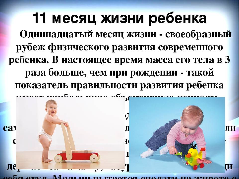 Ребенок 1 год 10 месяцев: развитие, навыки и умения, занятия с малышом