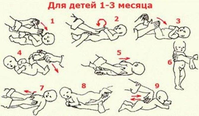 Как делать массаж новорожденному видео и основные техники