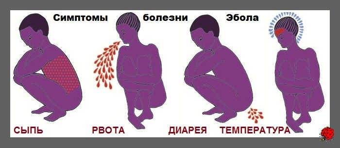 Понос и рвота