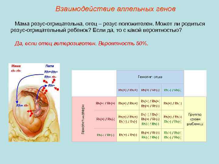 ''кровные враги''. беременность и резус-конфликт. отрицательный резус фактор при беременности