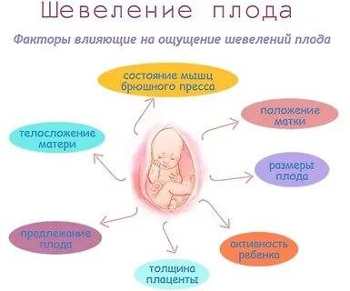 Когда начинает шевелиться ребенок при беременности / mama66.ru