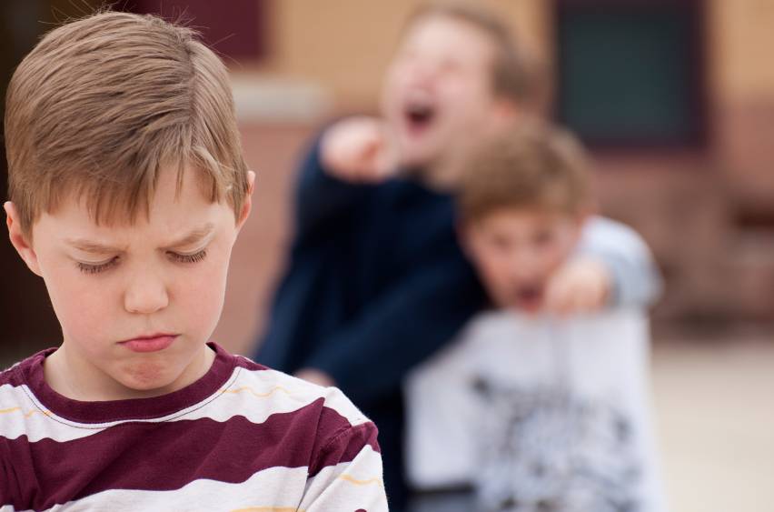 Что делать, если ребенка обижают в школе, как привлечь к ответственности обидчиков