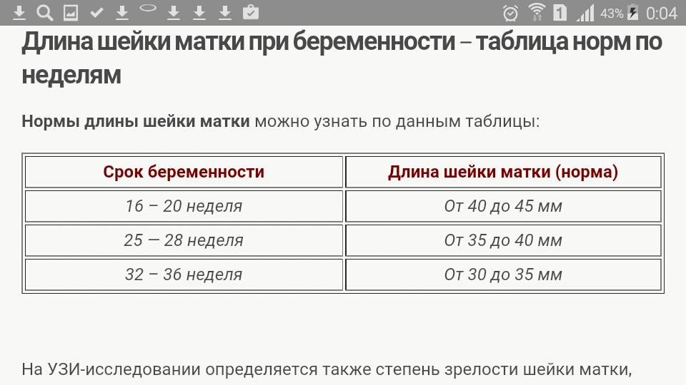 Эрозия шейки матки или эктопия?
 - vmc verte medical clinic