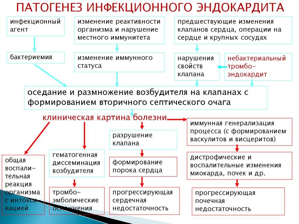 Эндокардит