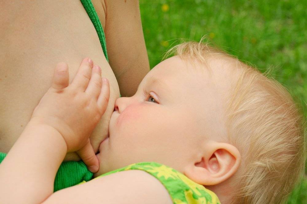 Детский сад и грудное вскармливание, учимся совмещать