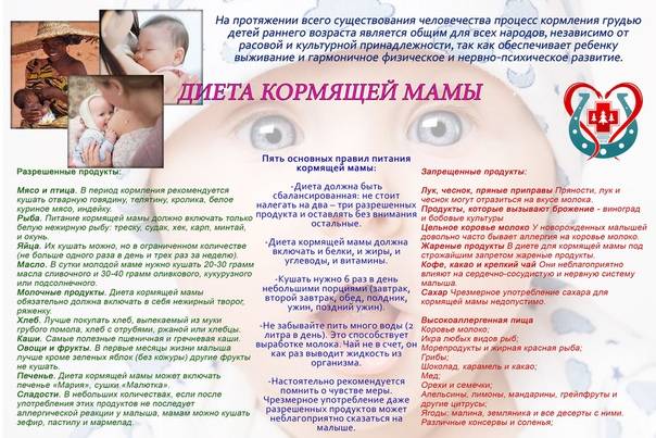 Чеснок при гв: можно ли его есть кормящей маме, влияет ли это на грудное молоко, в каком количестве кушать, полезен ли для новорожденного? русский фермер