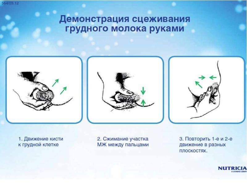 Как грамотно и безопасно сцеживать вручную грудное молоко?