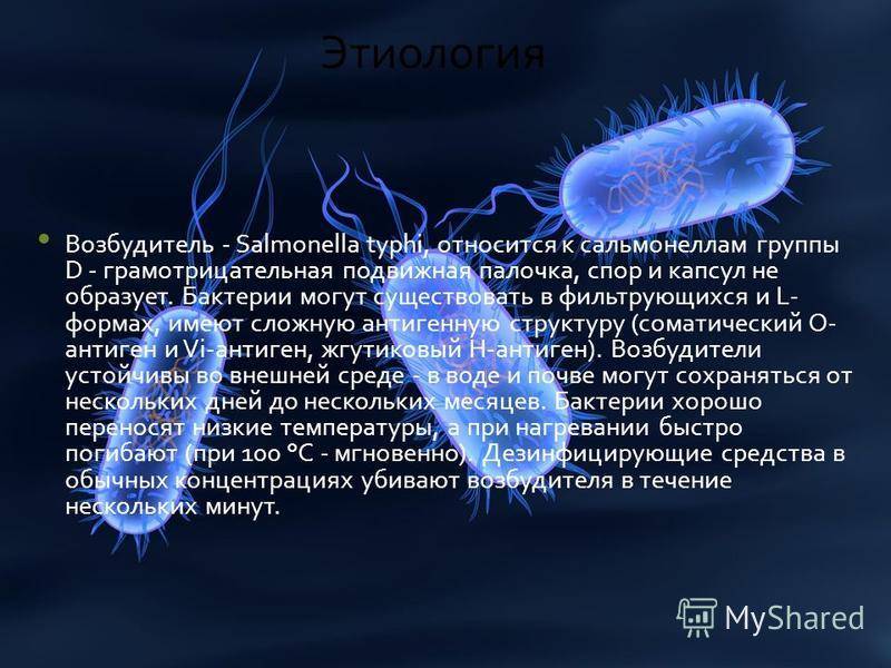 Сальмонеллёз у детей: инкубационный период, признаки, как вылечить и чем опасно заболевание?. новости  ясли-сад № 90 г. гродно