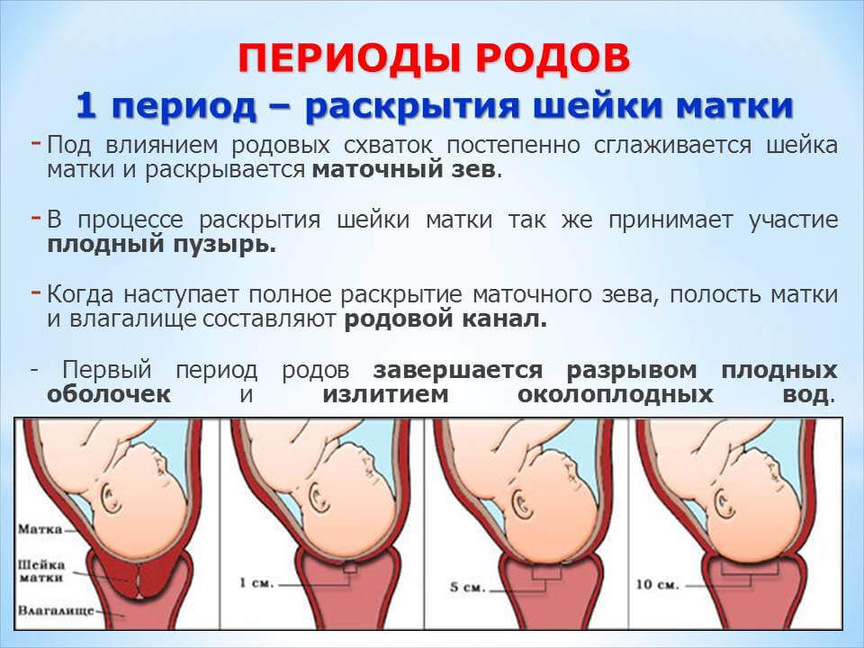 Особенности проведения узи шейки матки при беременности