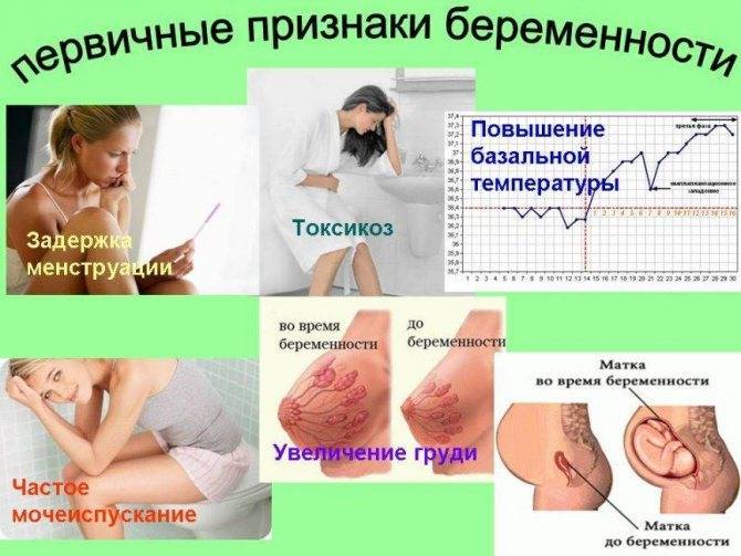 Почему болит грудь перед месячными? и другие недомогания перед менструацией - как отличить норму от болезни?