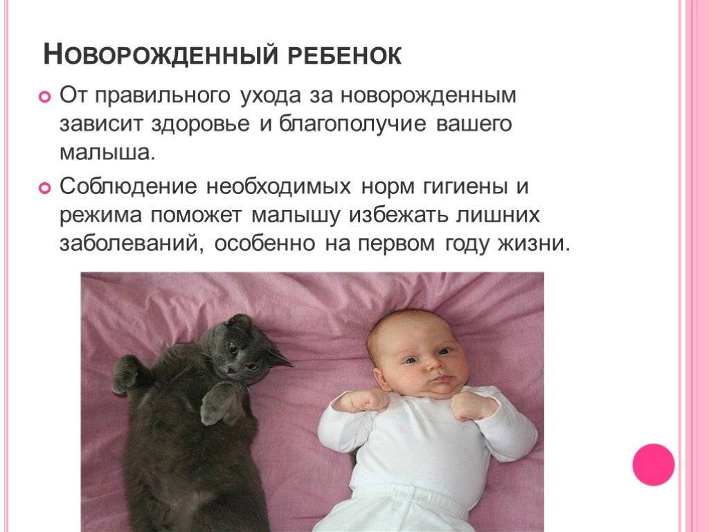 Ответы на тест нмо "проведение утреннего туалета новорожденным и грудным детям" | medtema.ru