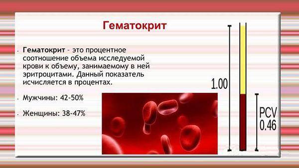 Общий анализ крови с лейкоформулой (5-diff), микроскопия, соэ + фотофискация препарата при выявлении патологии