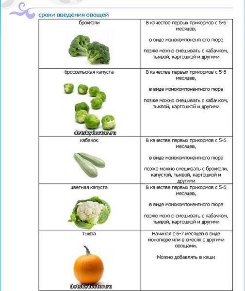 Первый прикорм – правила: как и когда вводить прикорм при грудном вскармливании - agulife.ru