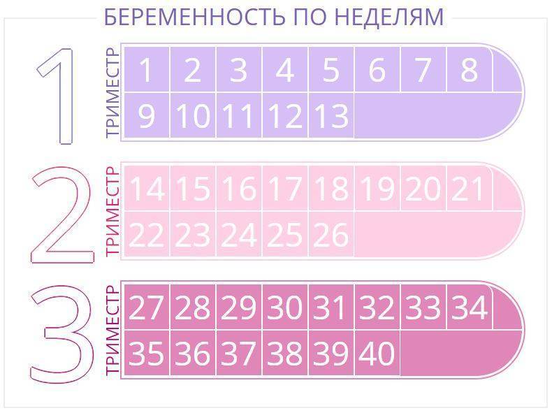 Калькулятор беременности - точный расчет по дням и неделям | календарь беременности