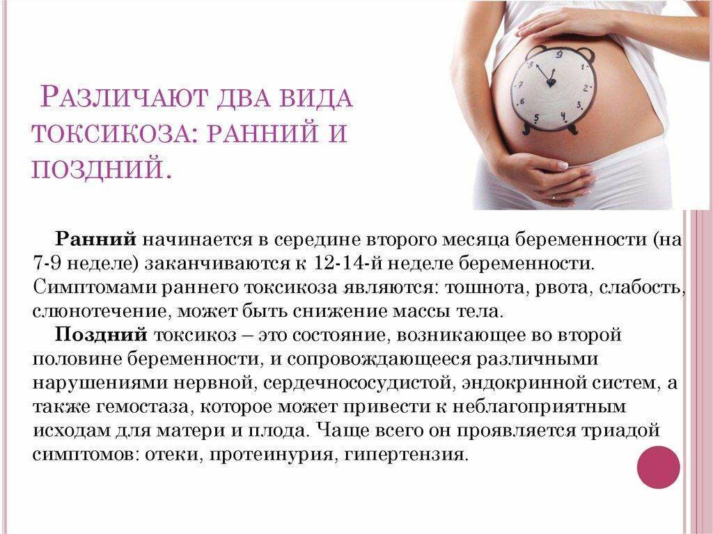 Почему тянет живот на ранних стадиях беременности