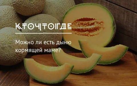 Можно ли кормящей маме дыню