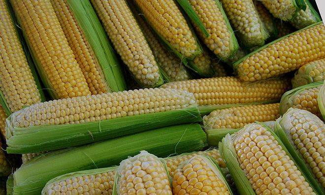 Можно ли употреблять кукурузную кашу при грудном вскармливании и какие существуют ограничения?