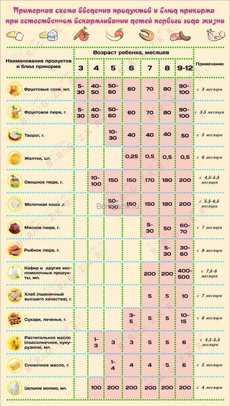Как вводить прикорм ребенку — таблица прикорма детей до года по месяцам