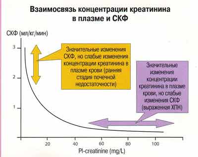 Креатинин в сыворотке (с определением скф): исследования в лаборатории kdlmed