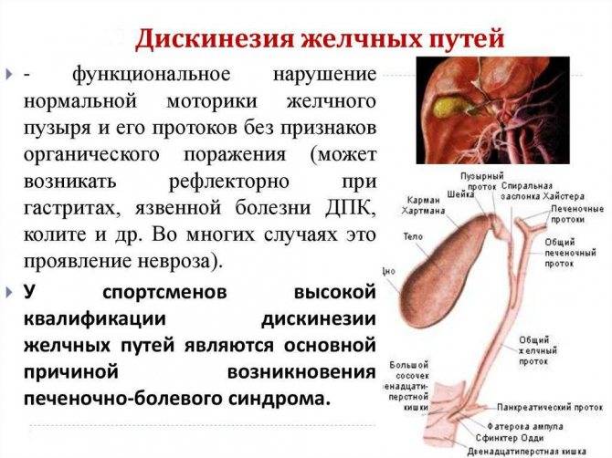 Топ-5 желчегонных средств