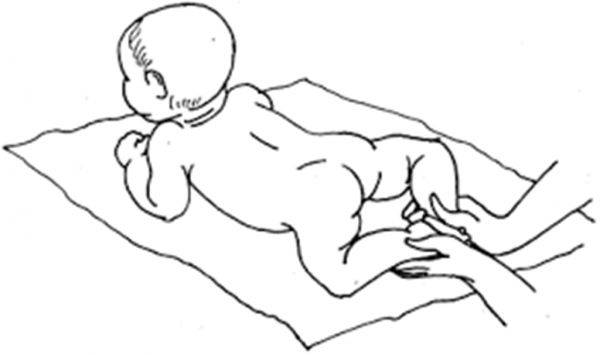 Когда ребенок начинает ползать: во сколько месяцев – в каком возрасте ползает, когда грудничок начинает ползать по-пластунски и на животе, особенности у мальчиков и девочек