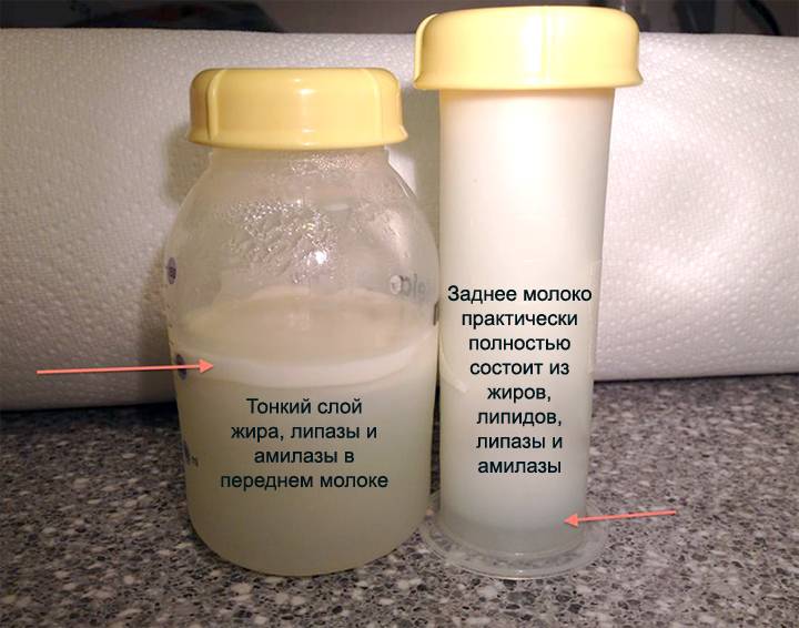 Лактация: как уменьшить или прекратить выделение молока?