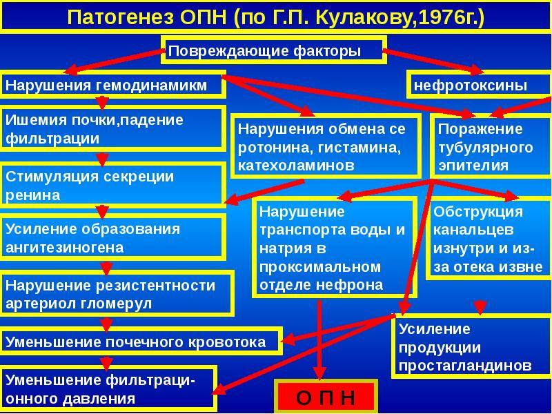 Острая почечная недостаточность у детей | компетентно о здоровье на ilive