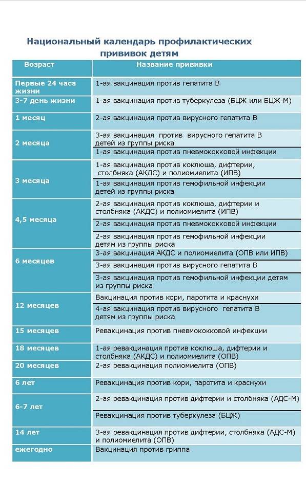 Календарь прививок детям до 1 года (в россии) – график