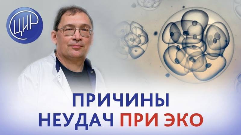 Криопротокол эко