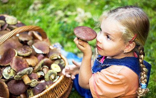 Грибной суп детям: с какого возраста можно, 7 полезных свойств, отравление грибами