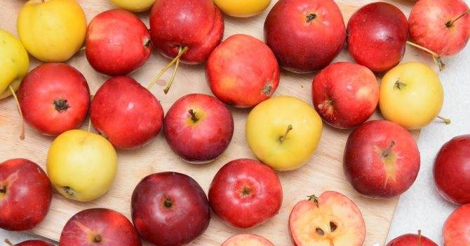 Яблоки на грудном вскармливании: когда, какие и как включать в рацион такие плоды