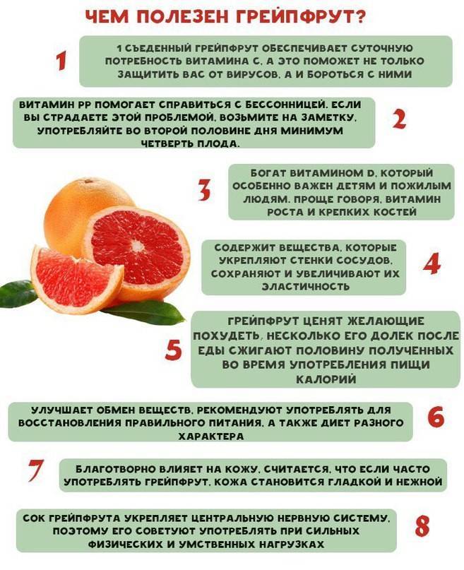 Диета на фруктах: какие фрукты можно есть, эффективность