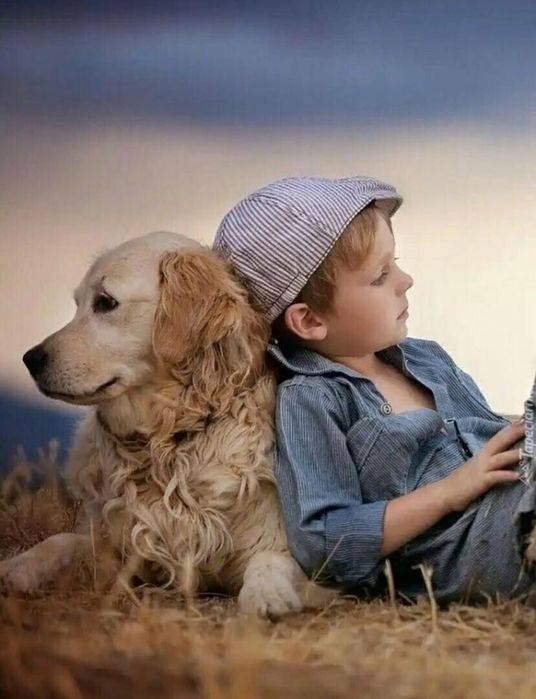 Дети и домашние животные: важные советы психолога