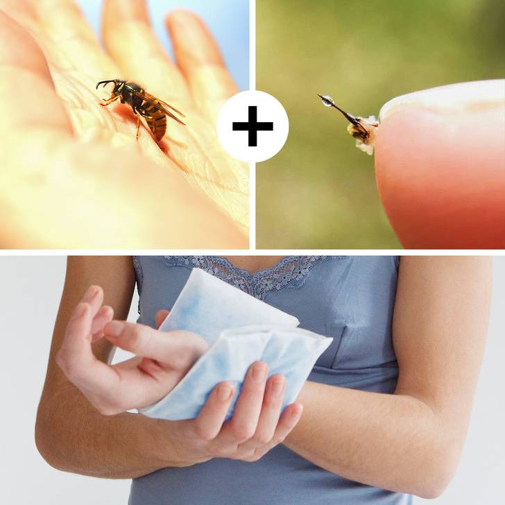 Аллергия на укусы комаров, ос и пчел: как выглядит и что делать? комариные укусы у детей