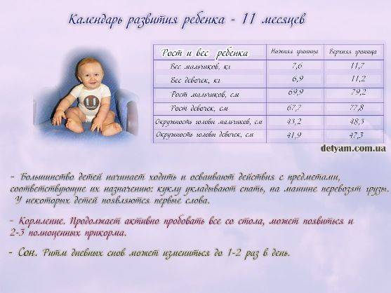 Ребенок 1.6. календарь развития ребенка на 7я.ру