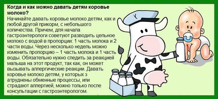 Со скольки месяцев можно давать ребенку коровье молоко: 8 важных правил от врача-педиатра