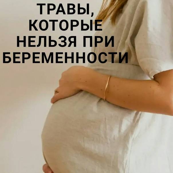 Что нельзя в первом триместре беременности?