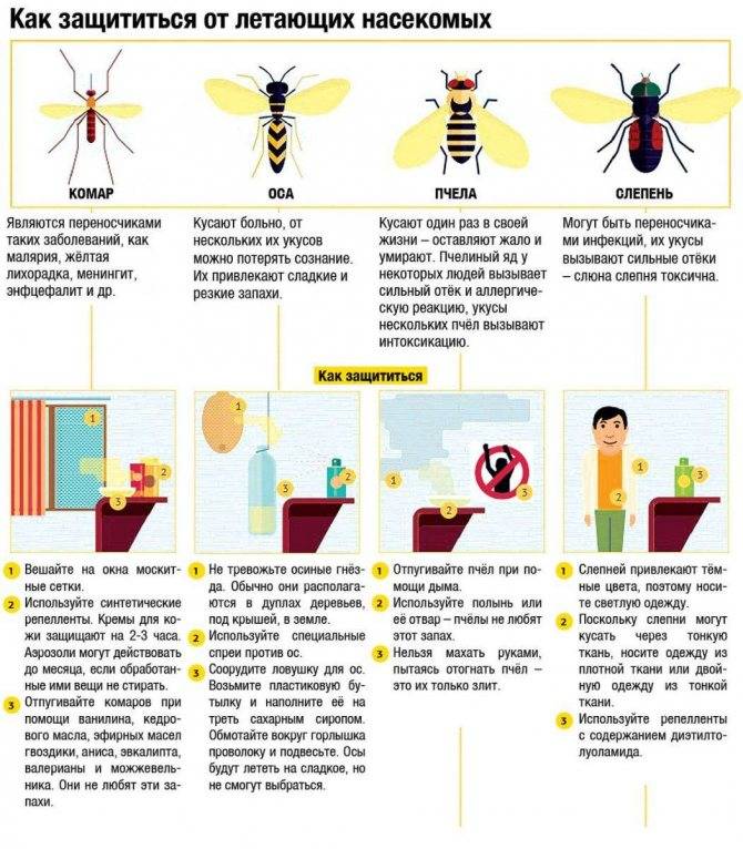 Что делать, если ребёнка ужалила пчела? Советы от детского аллерголога