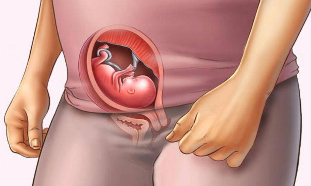 Шейка матки во время беременности: какие могут быть изменения?